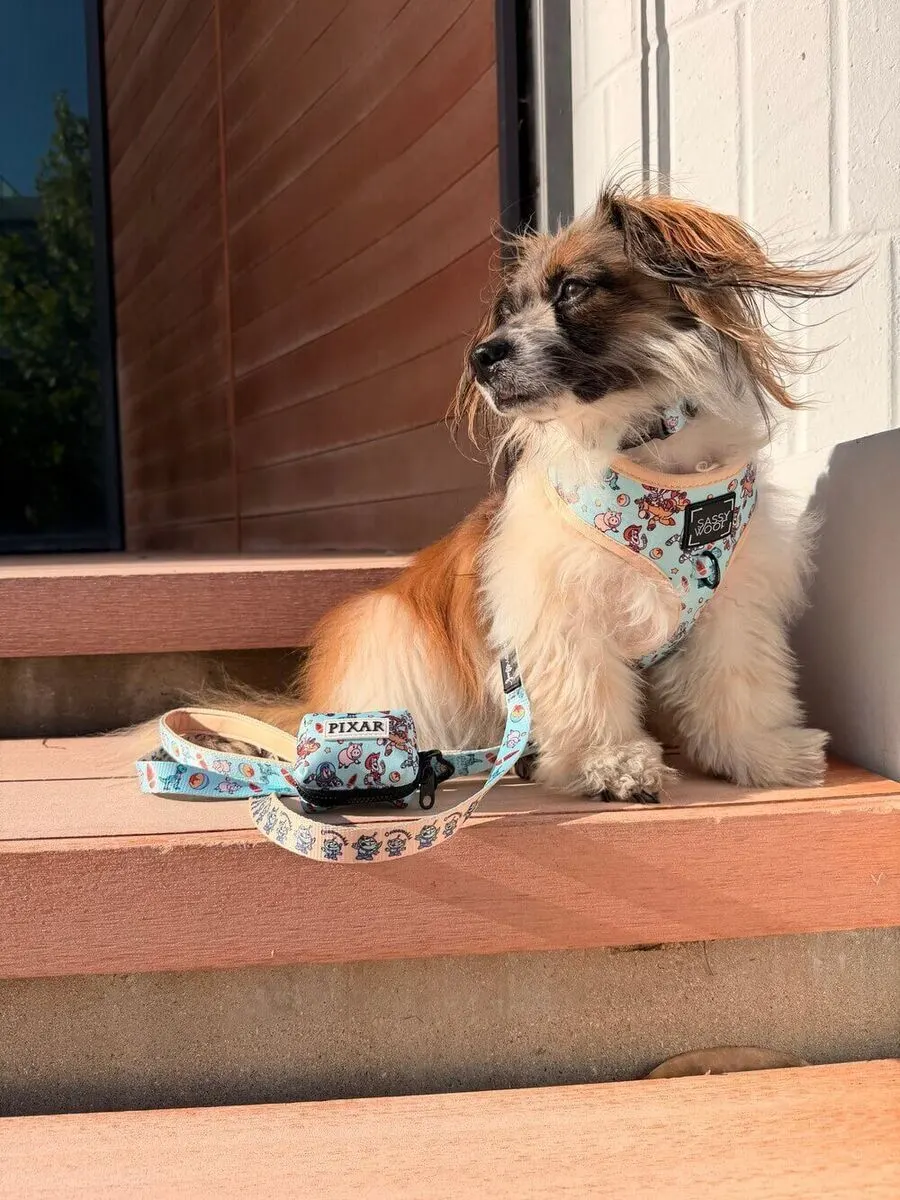 Ruthie, photo 5 of 5