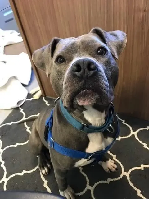 Zeus